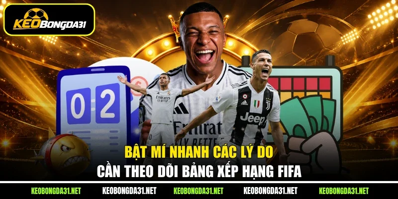 Bật mí nhanh các lý do cần theo dõi bảng xếp hạng FIFA