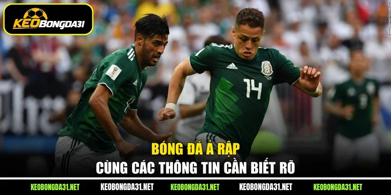 Bóng đá Ả Rập cùng các thông tin cần biết rõ
