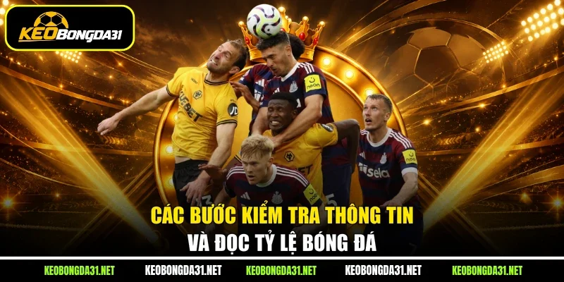 Các bước kiểm tra thông tin và đọc tỷ lệ bóng đá