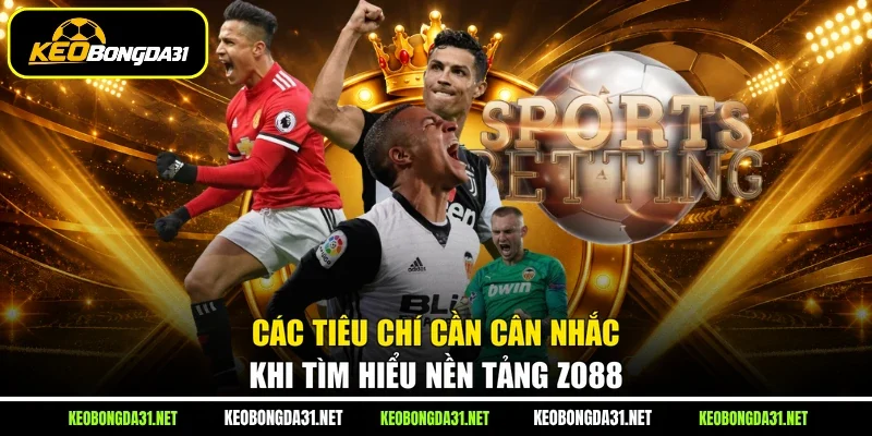 Các tiêu chí cần cân nhắc khi tìm hiểu nền tảng Zo88