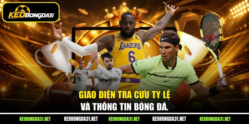 Giao diện tra cứu tỷ lệ và thông tin bóng đá