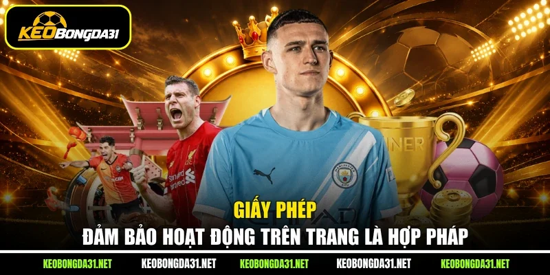 Giấy phép đảm bảo hoạt động trên trang là hợp pháp