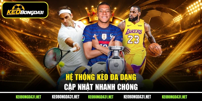 Hệ thống kèo đa dạng cập nhật nhanh chóng