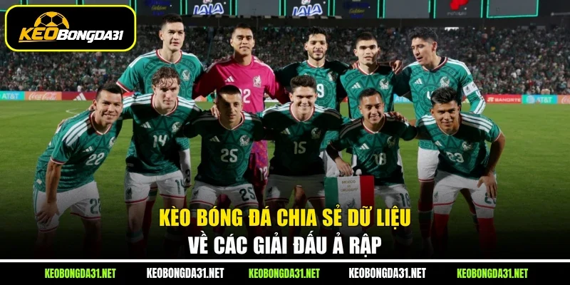Kèo Bóng Đá chia sẻ dữ liệu về các giải đấu Ả Rập