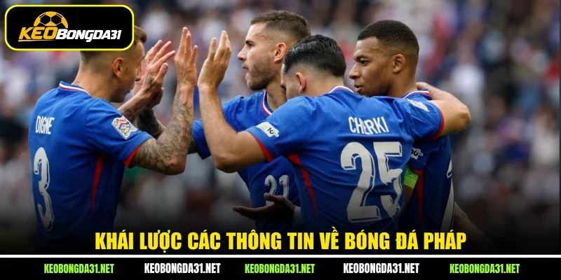 Khái lược các thông tin về bóng đá Pháp