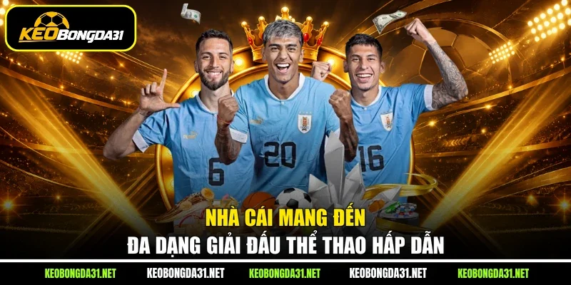 Nhà cái mang đến đa dạng giải đấu thể thao hấp dẫn