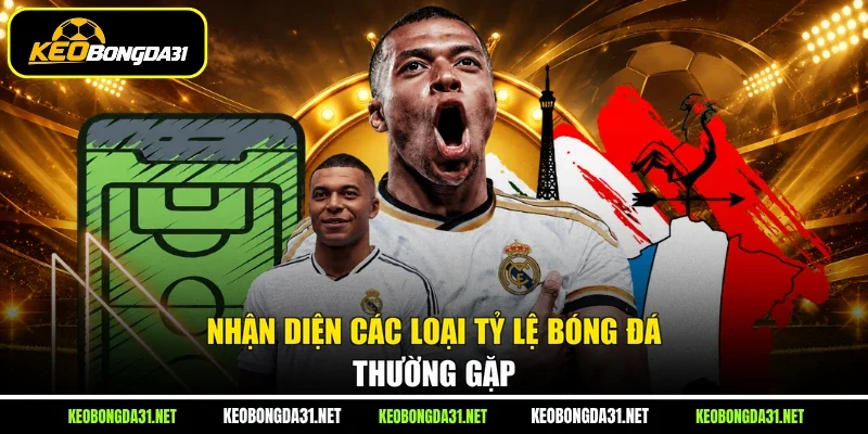 Nhận diện các loại tỷ lệ bóng đá thường gặp
