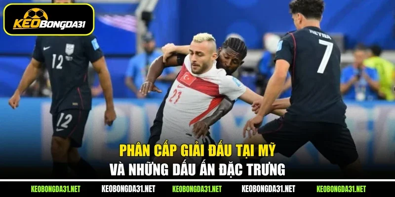 Phân cấp giải đấu tại Mỹ và những dấu ấn đặc trưng