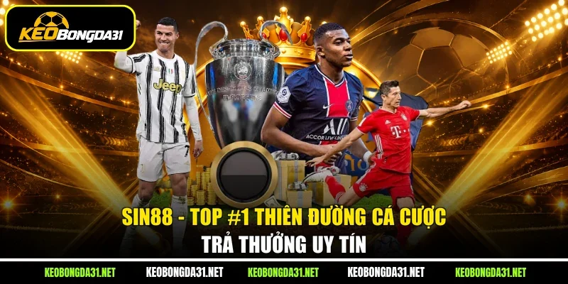 Sin88 - Top #1 Thiên Đường Cá Cược Trả Thưởng Uy Tín
