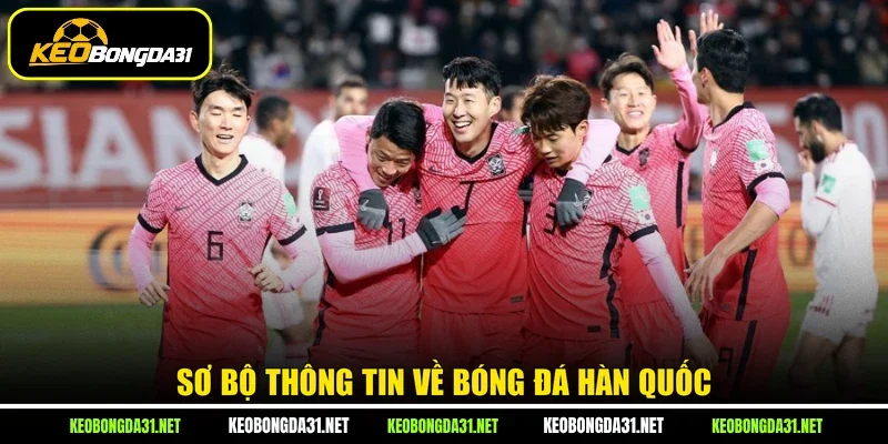 Sơ bộ thông tin về bóng đá Hàn Quốc