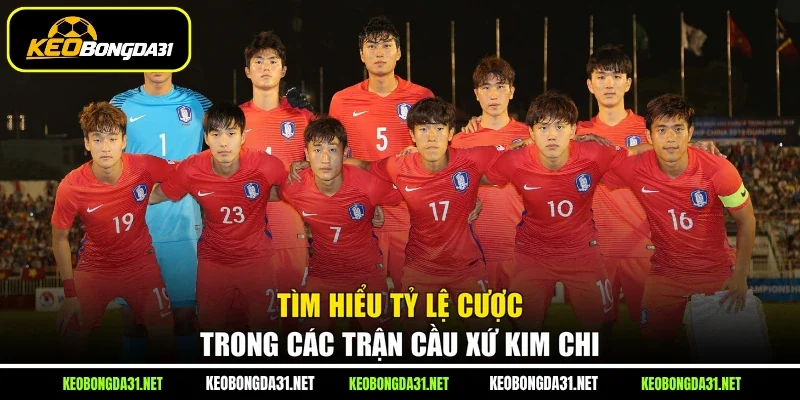 Tìm hiểu tỷ lệ cược trong các trận cầu xứ kim chi