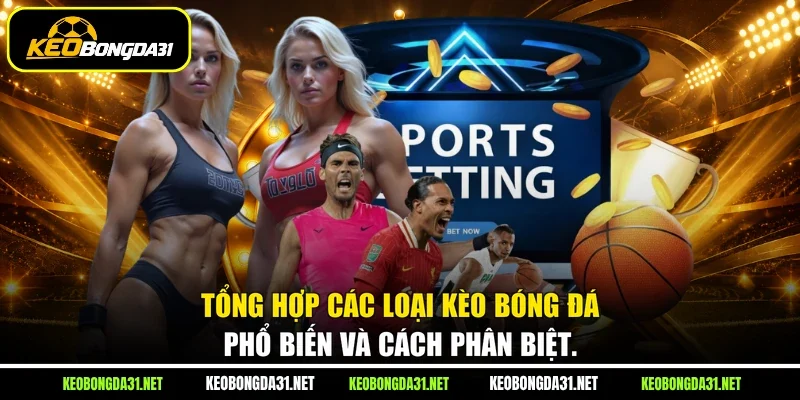 Tổng hợp các loại kèo bóng đá phổ biến và cách phân biệt