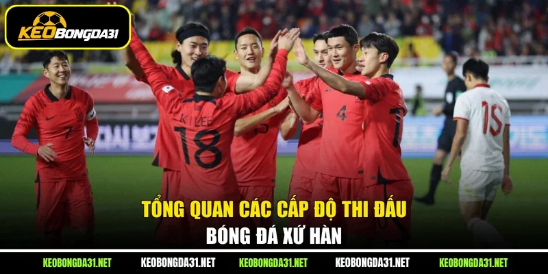 Tổng quan các cấp độ thi đấu bóng đá xứ Hàn