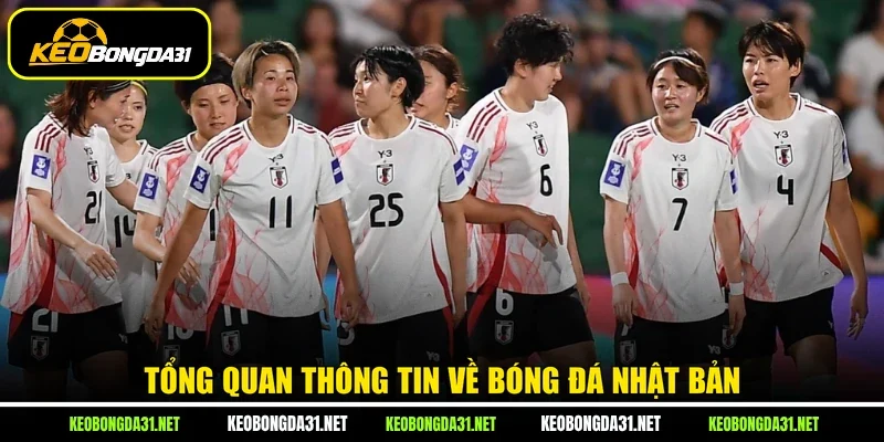 Tổng quan thông tin về bóng đá Nhật Bản